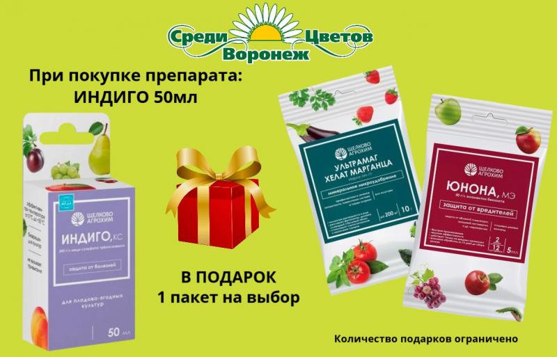 ПОЛУЧИ ПОДАРОК