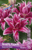 Лилия Roselily Лорена (5)